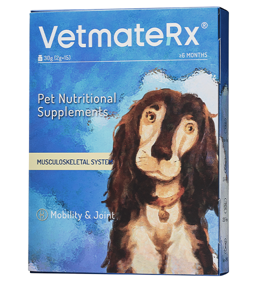 VetMeet'Rx Locomotor System Supplements