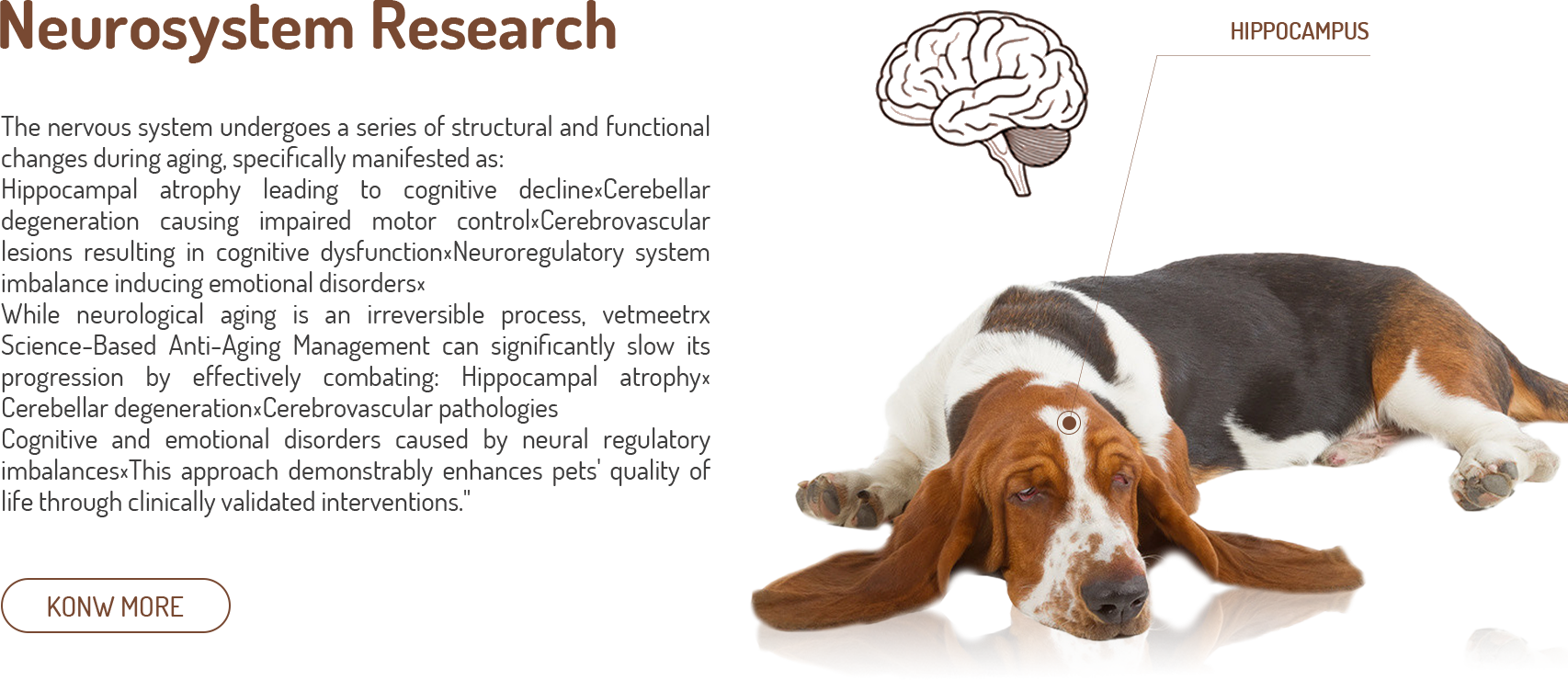 Digestive System Health